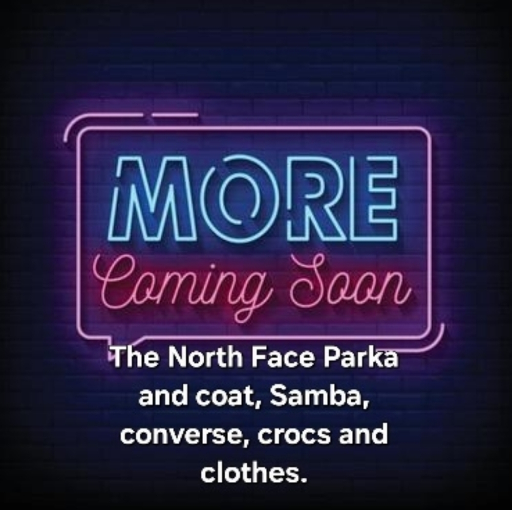 The North Face Winter Jacket